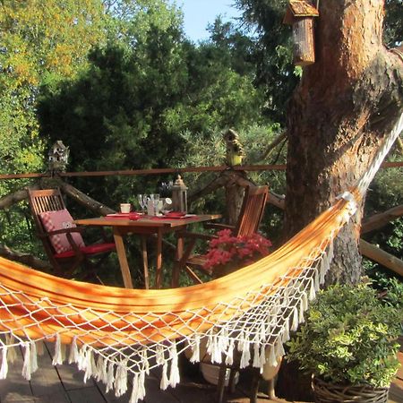 Domaine De La Carrauterie By Terre Insolite Sautin Dış mekan fotoğraf